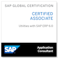 Utilities with SAP ERP 6.0